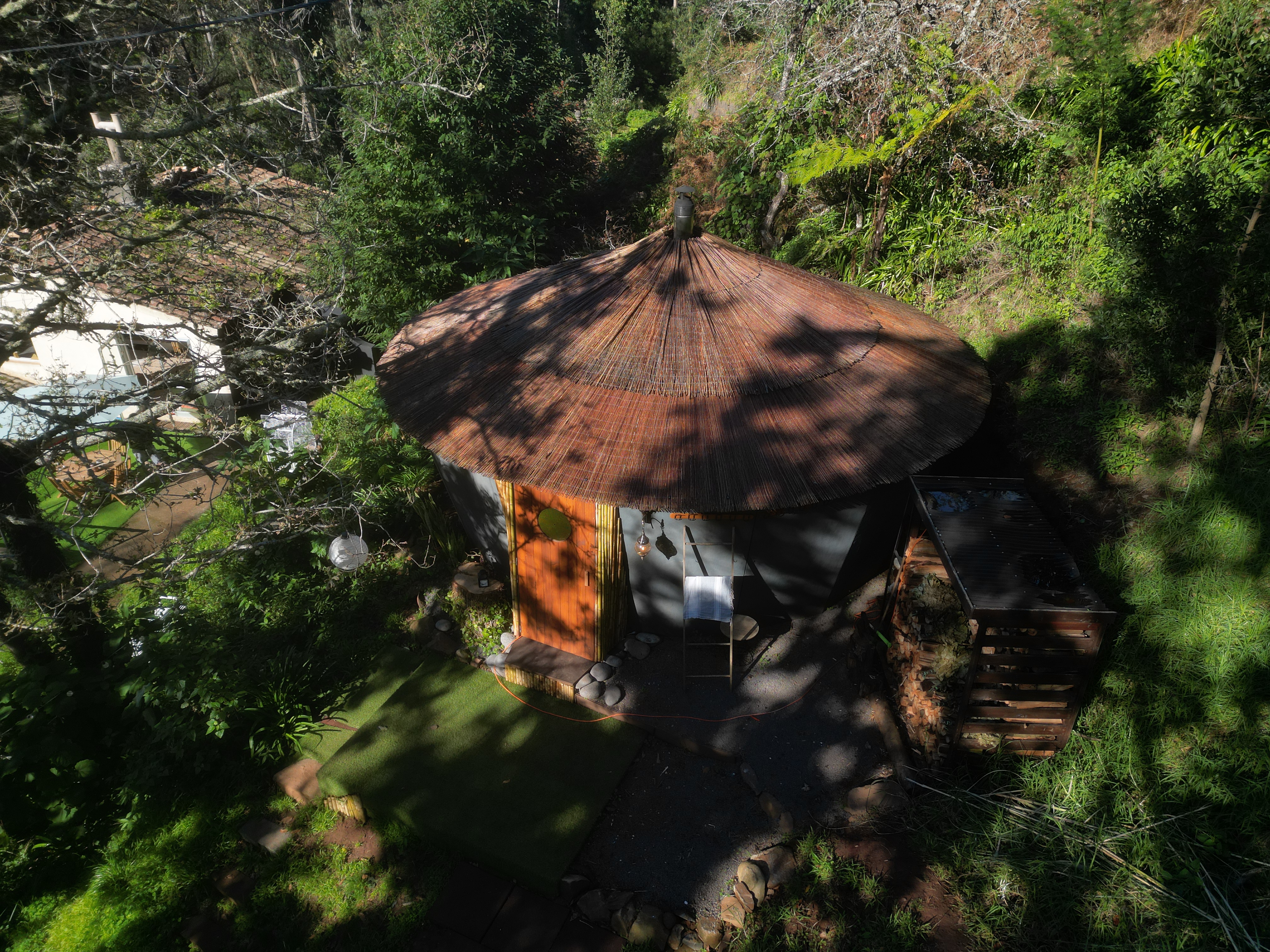 Sacred forest — aerial view