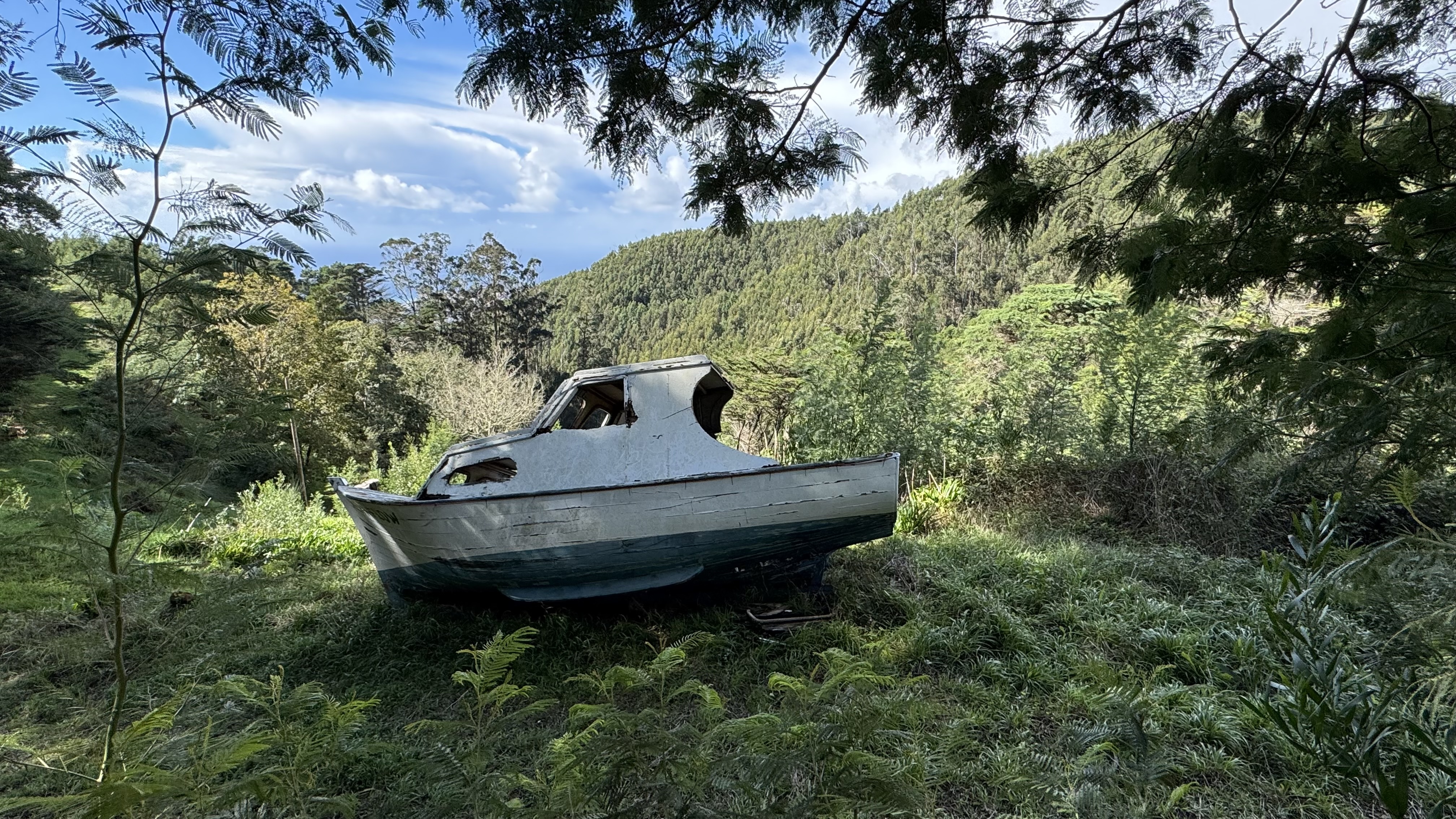 Silent Flow — the old boat in the forest
