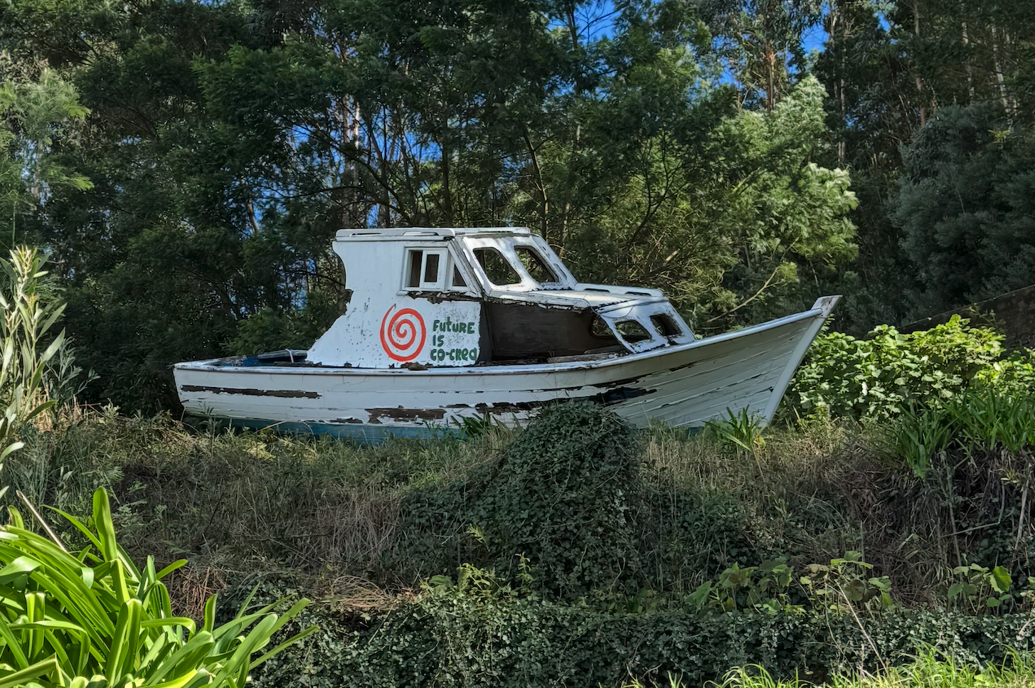 Silent Flow — in the forest