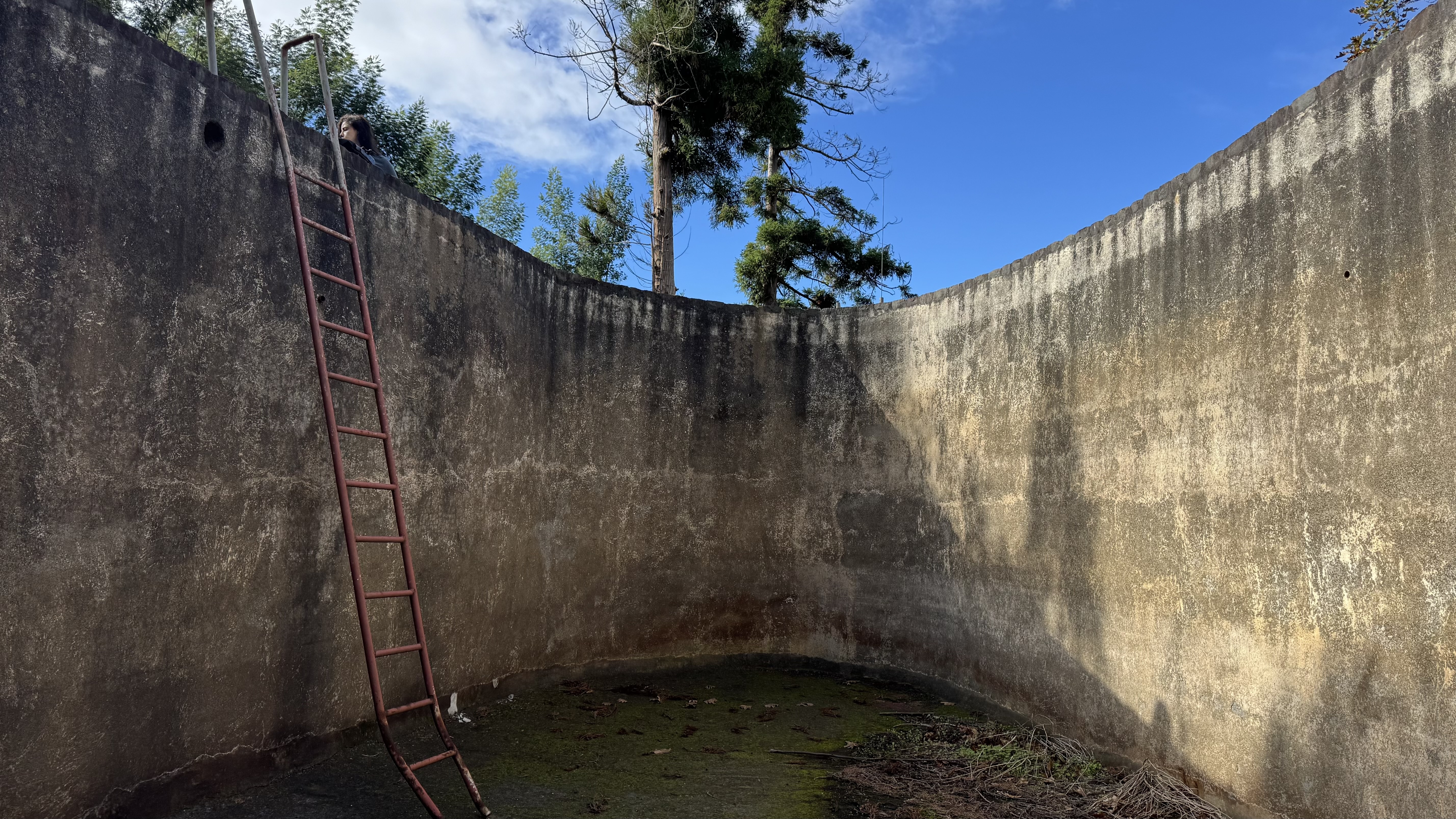 The Egg — current state inside